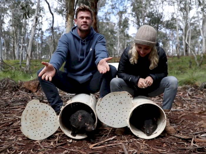 FOTO: Chris Hemsworth dan Istrinya Elsa Pataky Melepasliarkan Tasmanian Devil