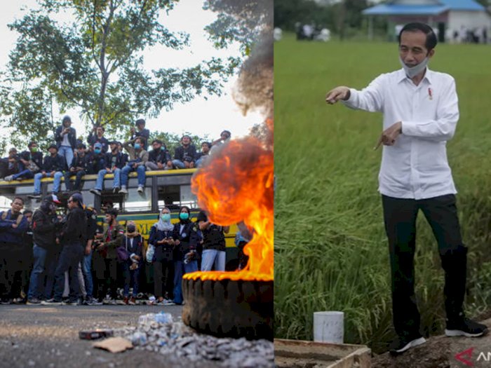 Ada Demo di Istana Negara, Jokowi ke Pulau Pisang Kalimantan Tengah, Ini yang Dilakukannya