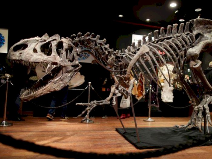 Kerangka Dinosaurus 150 Juta Tahun Dilelang, Laku Seharga $ 3,52 Juta