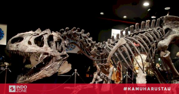 Kerangka Dinosaurus 150 Juta Tahun Dilelang, Laku Seharga $ 3,52 Juta ...