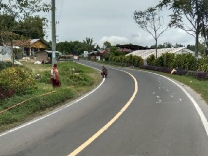 Ditabrak Mobil, Pemotor di Jalan Lintas Pematangsiantar - Saribu Dolok Tewas di Tempat