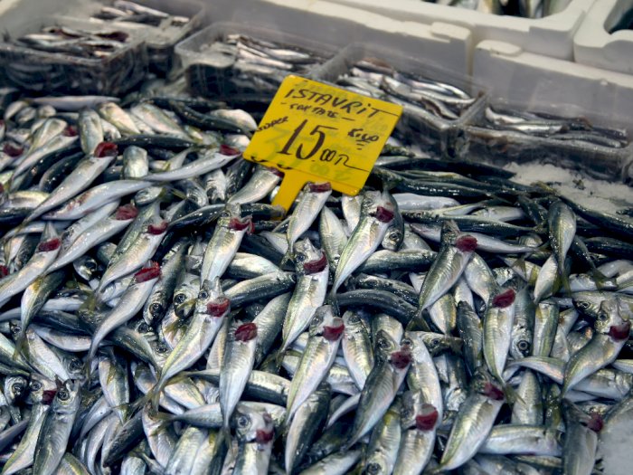 4 Manfaat Ikan Tenggiri untuk Kesehatan yang Harus Kamu Ketahui