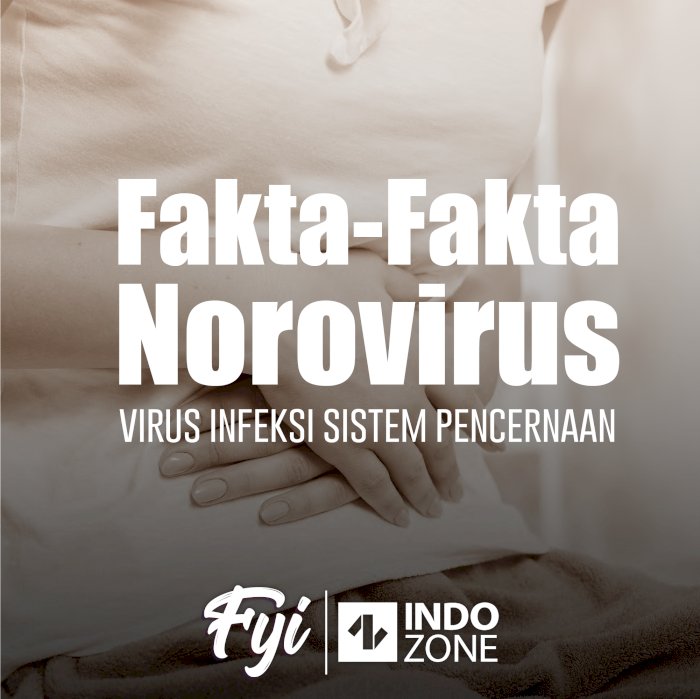 Fakta-Fakta Norovirus, Virus Infeksi Sistem Pencernaan