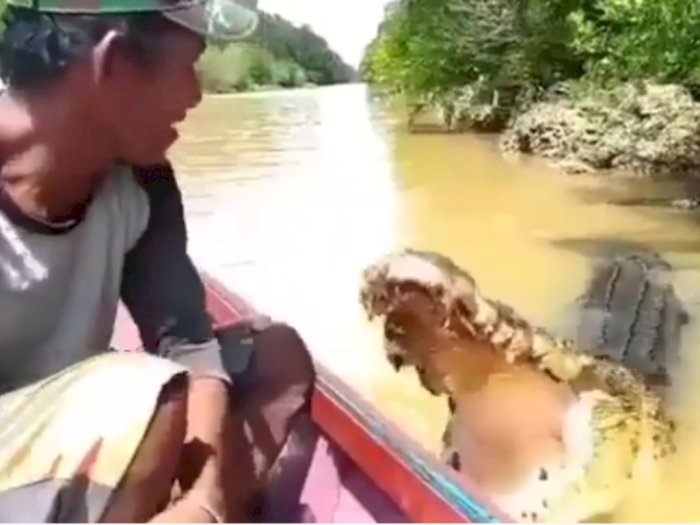 Aksi Santuy Pria yang Beri Makan dan Elus Buaya di Sungai, Bikin Netizen Deg-degan