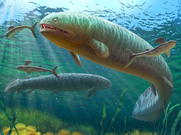 Rhizodus Hibberti, Ikan Air Tawar yang Hidup Pada Periode Karbon