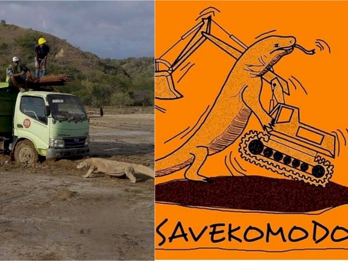 Viral Foto Komodo 'Hadang' Truk Proyek Berujung #SaveKomodo, Kementerian PUPR Buka Suara