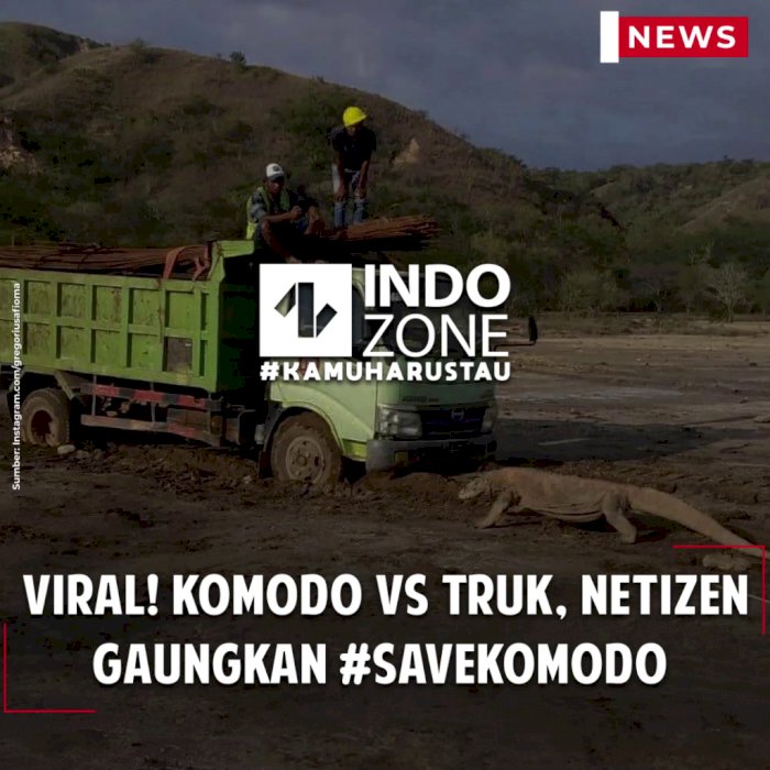 Viral! Komodo vs Truk, Netizen Gaungkan #SaveKomodo 