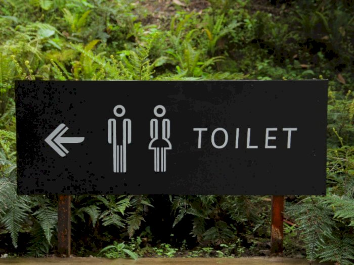 Benarkah Toilet Jongkok Lebih Sehat dari Toilet Duduk?