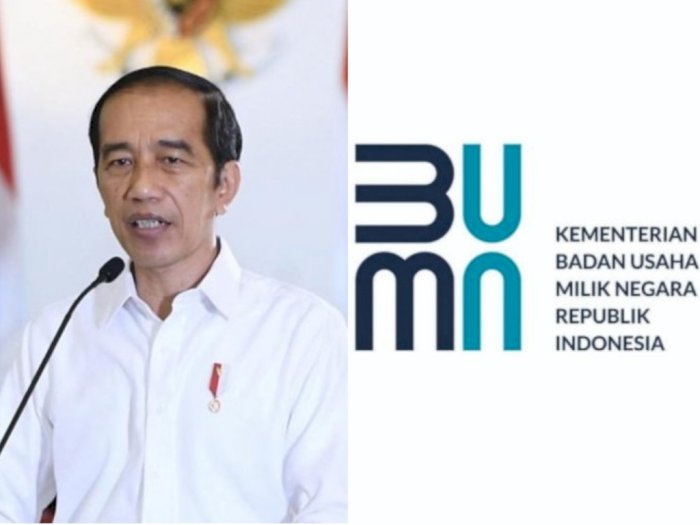 Relawan Jokowi Jadi Komisaris BUMN, Pengamat: Masih Banyak Lagi, Sedang Tunggu Giliran
