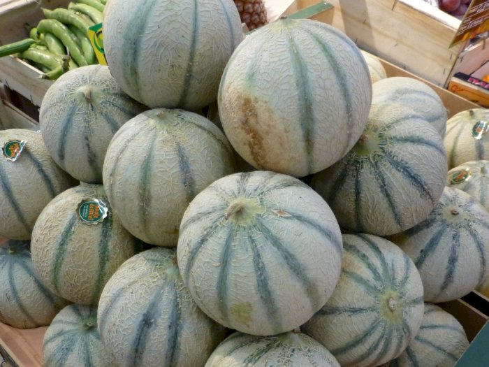 Melon Prancis 'Charentais,' Salah Satu Melon dengan Rasa dan Aroma Terbaik 