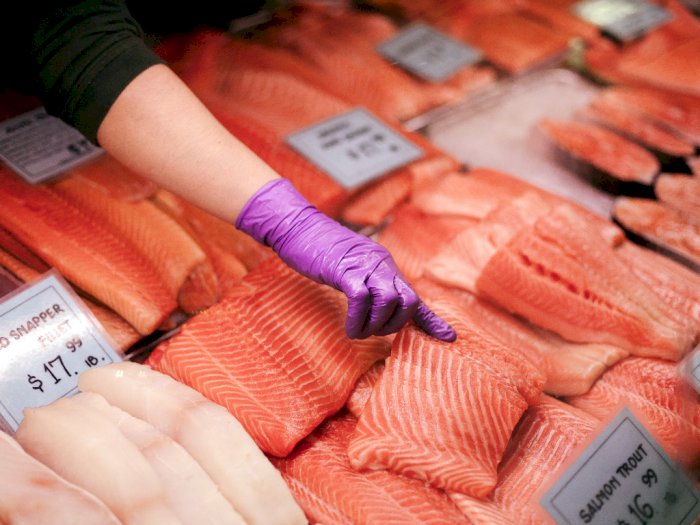 Dari Mulai Kandungan Nutrisi Ikan Salmon dan Tuna Hingga Manfaatnya Bagi Kesehatan