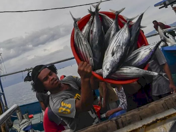 Tingkatkan Ekspor Perikanan, Kadin Harap Pemerintah Subsidi Listrik di Indonesia Timur