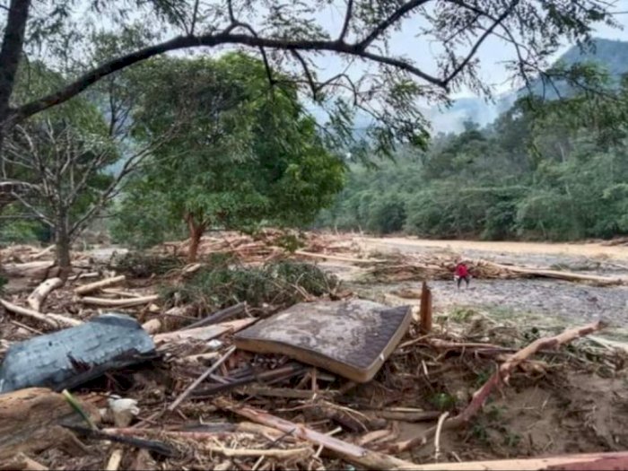 Banjir Bandang Bahorok Terjadi Diduga Karena Adanya Pembalakan Liar