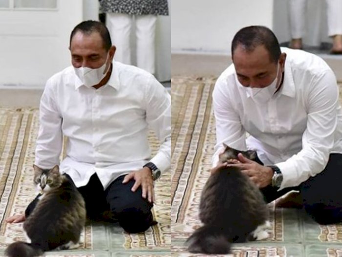 Perkenalkan, Ini Young Er, Kucing Manja Kesayangan Gubernur Edy Rahmayadi yang Bikin Gemes