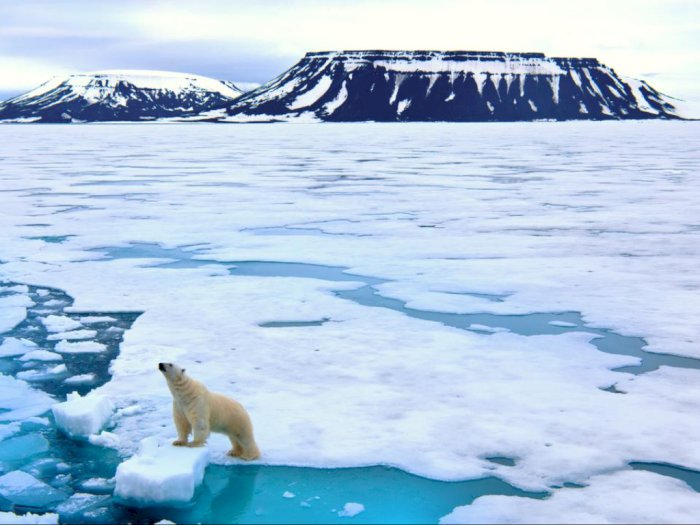Studi: Samudra Arktik Kemungkinan akan Alami Musim Panas Tanpa Es Sebelum 2050