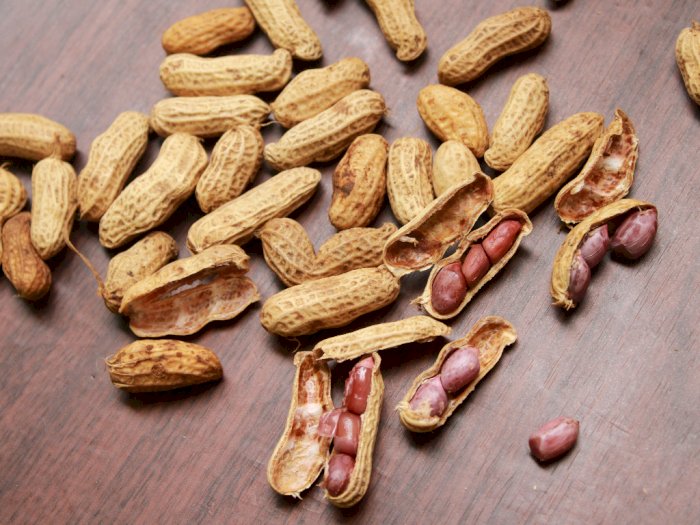 Ini Alasan Kenapa Kacang Rubah dan Kacang Tanah Camilan Penurun Berat Badan Terbaik