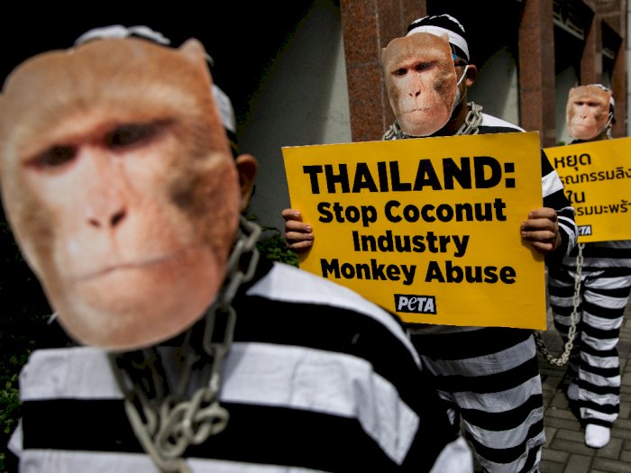 FOTO: Unjuk Rasa Memprotes Eksploitasi Monyet