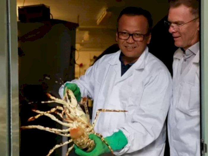 Demokrat Sudah Ingatkan Menteri KKP Edhy Prabowo Hati-Hati soal Ekspor Benur Lobster