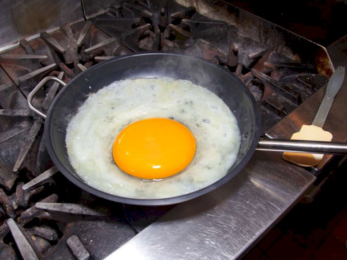 Jadi Telur Burung Terbesar, Bagaimana Rasa Telur Burung Unta?
