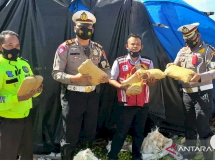 Truk Angkut Ganja Terguling di Lampung, Diduga Supir Ngantuk dan Tak Lihat Rambu Jalan  