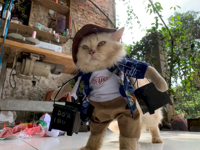 FOTO: Lucunya Cosplay Kucing di Bogor