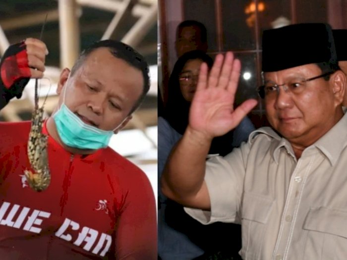 Ungkap Kekecewaan, Hashim Kutip Ucapan Prabowo Subianto: Edhy Diangkat dari 'Selokan'
