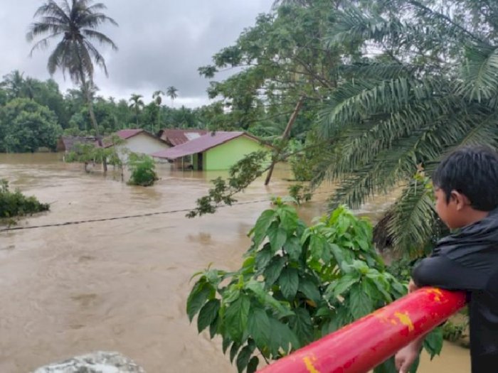 Banjir 1,5 Meter Rendam Rumah dan Lahan Pertanian Warga di Aceh Utara