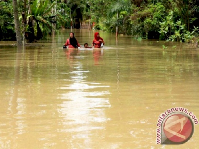 Banjir Rendam 5 Kecamatan di Aceh Utara, Ratusan Warga yang Terkena Dampak Mulai Mengungsi