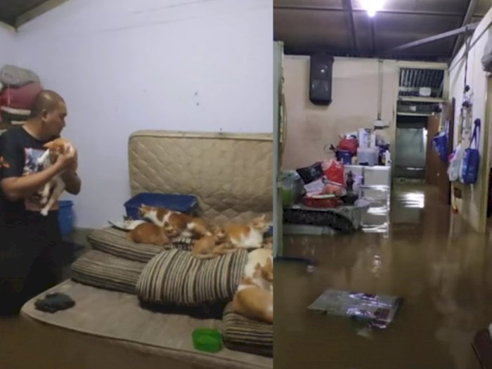 Rumah Direndam Banjir, Kakak-Adik 'Bucing' Ini Selamatkan 32 Kucingnya Lebih Dulu