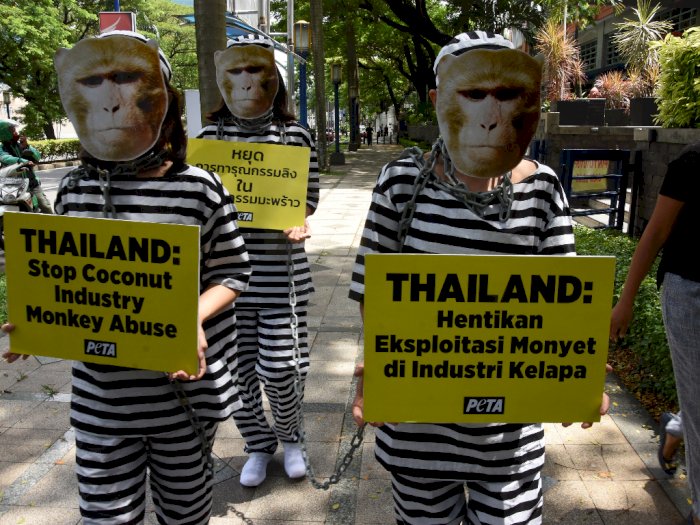 FOTO: Aksi Protes Eksploitasi Monyet di Kedubes Thailand