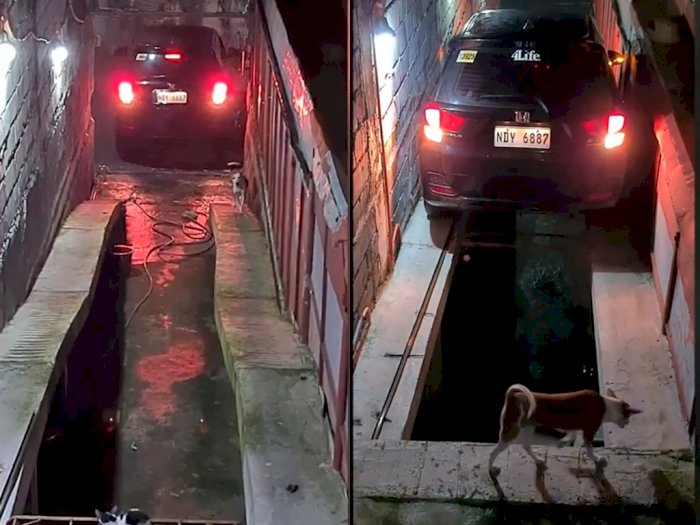 Video Disaat Pria yang Parkir Mobilnya di Tempat yang Sempit, Harus Keluar dari Bagasi