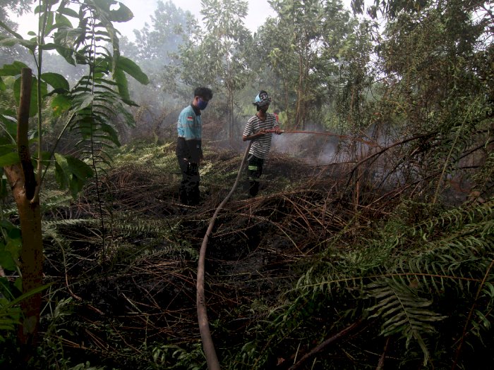 FOTO: Kebakaran Hutan dan Lahan di Pontianak