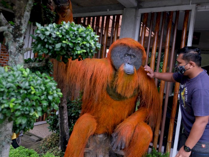FOTO: Patung Orangutan Sumatera Untuk Edukasi