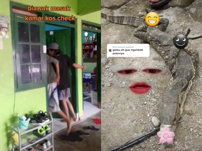 Viral Momen Saat Biawak Masuk Kamar Kos Cowok, Bikin Netizen Ngakak