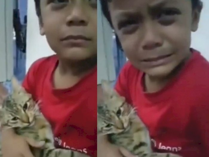 Sedih, Bocah Ini Sampai Menangis Sesenggukan Melihat Kucingnya Mati karena Diracun