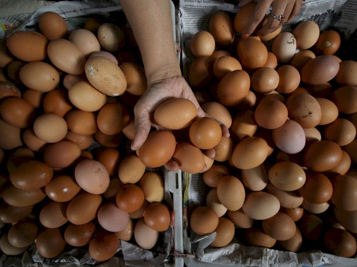 Jelang Natal dan Tahun Baru, Harga Telur dan Daging Ayam Ras di Medan Mulai Bergerak Naik