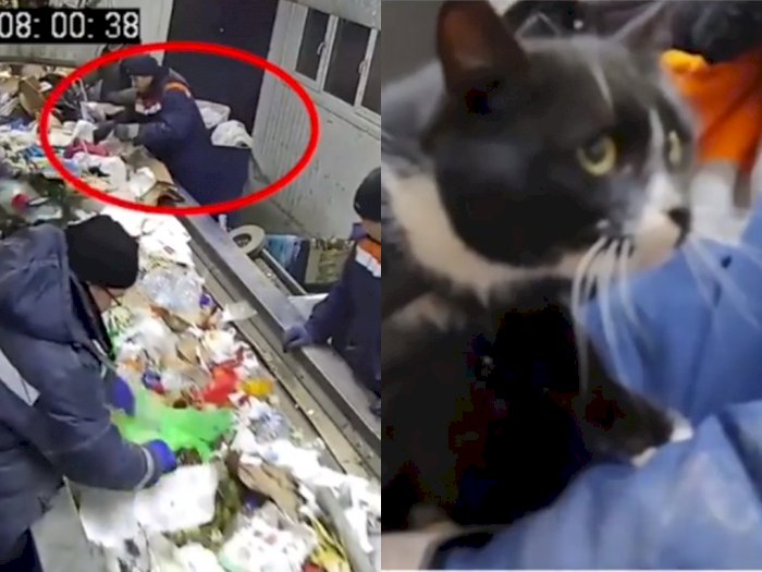 Penyortir Sampah ini Temukan Kucing yang Dibuang di Dalam Karung, Netizen: Tega Banget