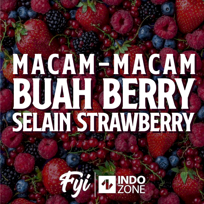 Macam-Macam Buah Berry Selain Strawberry