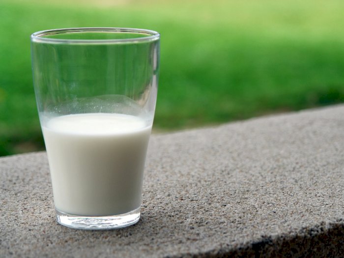 Berikut Sederet Manfaat Susu Kambing Untuk Kesehatan Tubuh