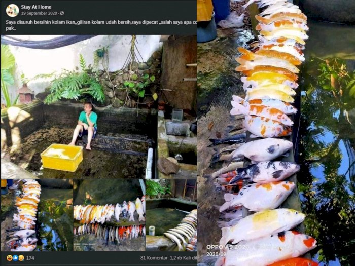 Pria Ini Diminta Bersihkan Kolam Ikan, Setelah Bersih Malah Dipecat, Ini Sebabnya