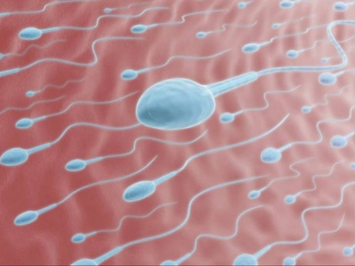 Ciri-ciri Pria Memiliki Sperma yang Sehat, Simak Yuk!