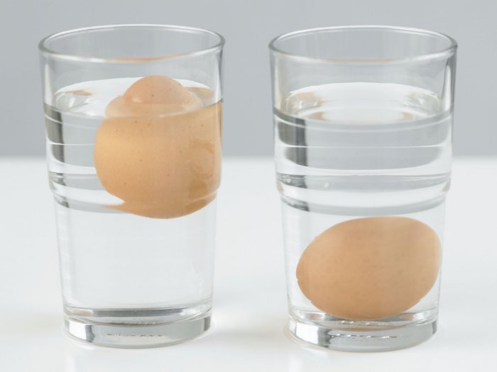 Benarkah Telur Yang Mengapung di Atas Air Artinya Telur Busuk?