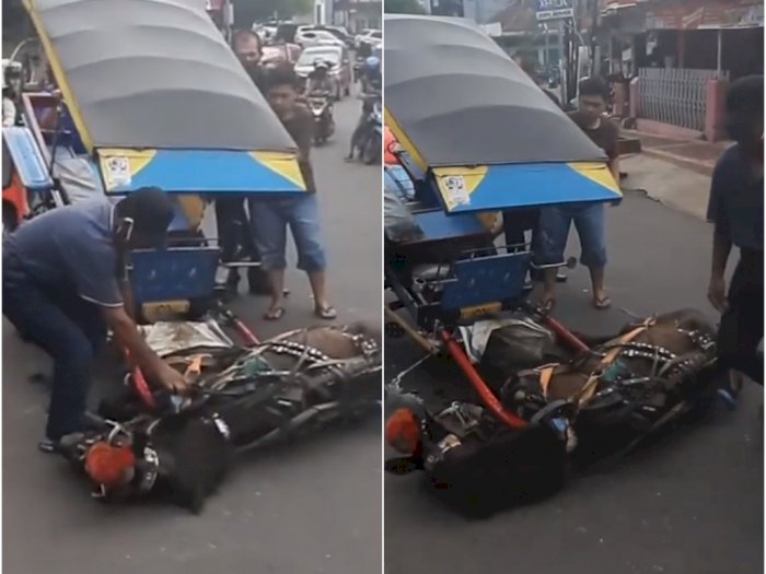 Miris, Kuda Ambruk di Tengah Jalan Diduga Kelelahan Narik Delman, Netizen Kasihan