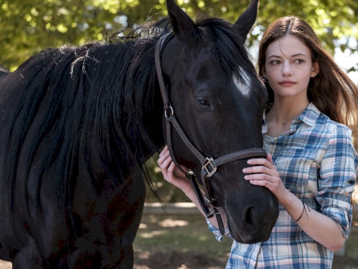 Sinopsis 'Black Beauty' (2020) - Persahabatan Antara Gadis Cantik dan Kuda Hitam