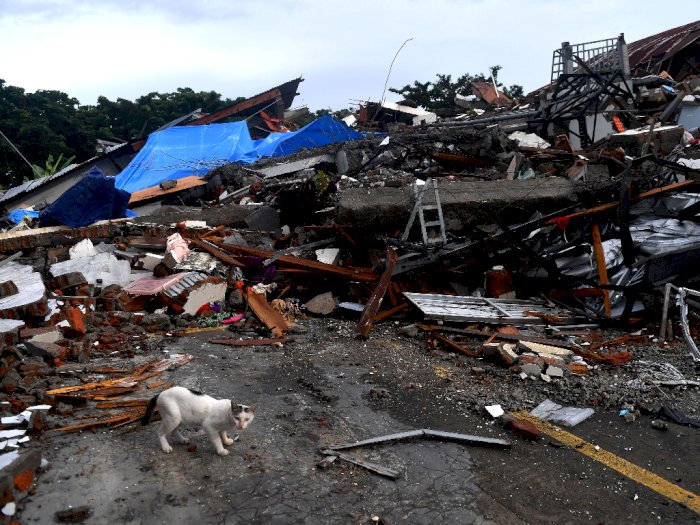 Update Gempa Sulbar: 81 Orang Meninggal Hingga 1.150 Rumah Rusak