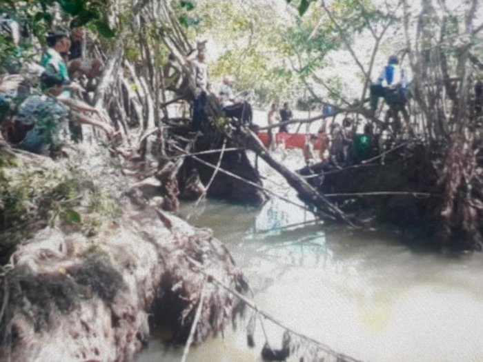  Tiga Perahu Belum Temui Korban yang Diterkam Buaya di Sungai Barang Sikabau Pasaman Barat