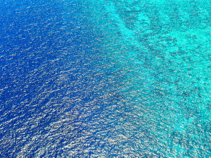 Studi Penelitian: Sebagian Besar Laut Bumi Telah Terpengaruhi Perubahan Iklim