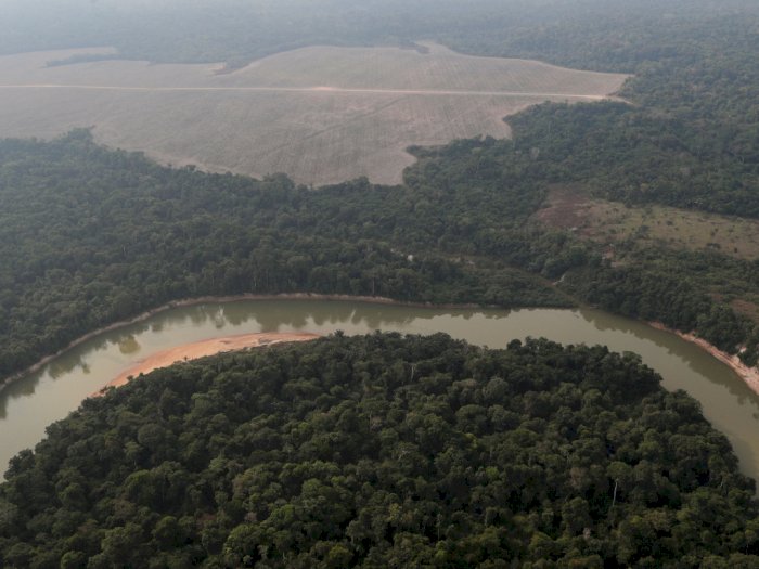 Perubahan Iklim Mungkinkan Buat Hutan Hujan Amazon Jadi Sabana Kering