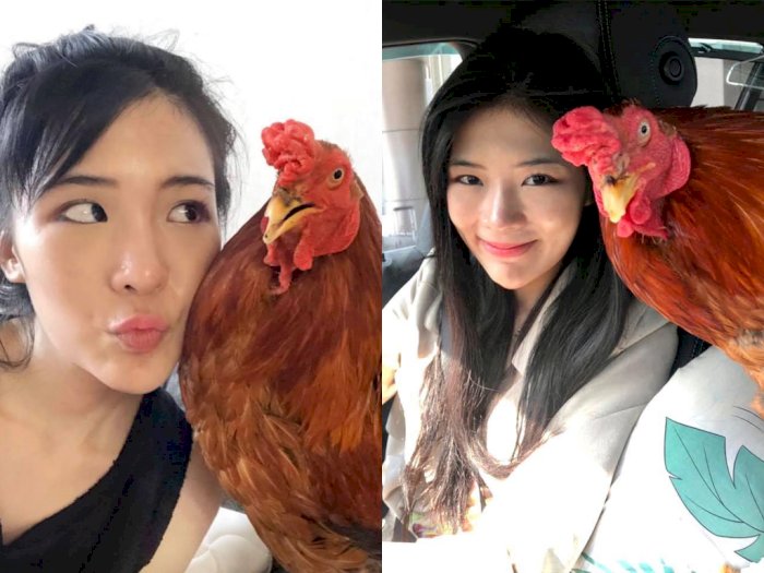 Selamatkan Ayam yang Terluka, Gadis Cantik Ini Malah Jadikan Ayam Itu Hewan Peliharaannya