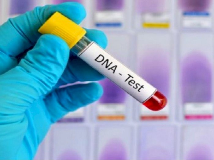 Tim DVI Terima 714 Sampel DNA atau Informasi Genetik Korban Sriwijaya Air SJ182